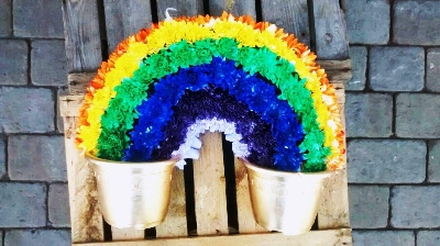 Rainbow Tribute