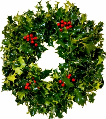 Traditional Holly Wreath