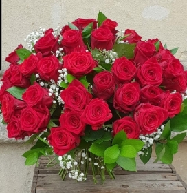 50 Red Luxurious Roses