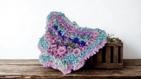 Butterfly 1