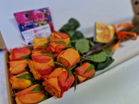 Orange Rose box