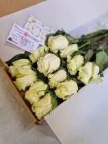 White  Rose Box