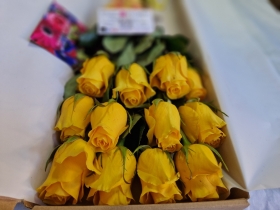 Yellow Rose Box